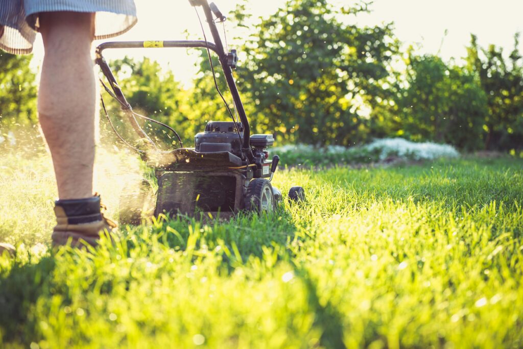 Partir en vacances avec la tranquillité