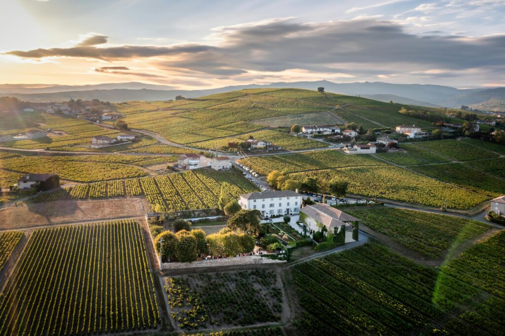 Le Beaujolais : Une Destination Gourmande à Découvrir Absolument